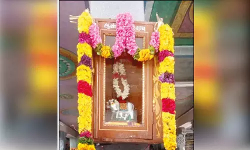 சிவன்மலை சுப்பிரமணியசாமி கோவில் ஆண்டவன் உத்தரவு பெட்டியில் பசு-கன்றுக்குட்டி சிலை வைத்து பூஜை