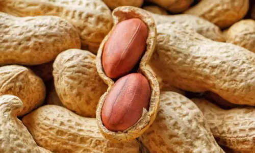 சேவூா் ஒழுங்குமுறை விற்பனைக்கூடத்தில் ரூ.1.30 லட்சத்துக்கு நிலக்கடலை ஏலம்