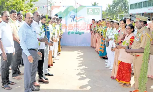 சுதந்திர தினவிழாவில் மரக்கன்றுகள் வழங்கல்