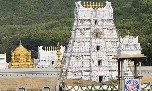 சிறுத்தை வந்தா குச்சியால் விரட்டுங்க.. திருப்பதி தேவஸ்தானம் வேறலெவல் உத்தரவு!