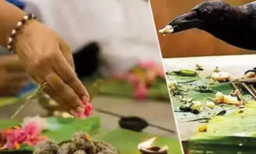 காகம் வடிவில் வீட்டிற்கு வரும் முன்னோர்கள்