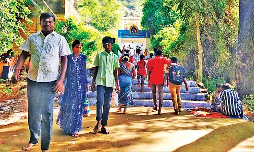 ஆடி அமாவாசையை முன்னிட்டு ஆத்தூர் சடையாண்டி கோவிலில் ஏராளமான பக்தர்கள் குவிந்தனர்