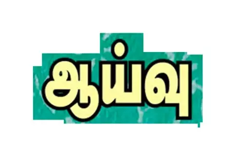 தியாகதுருகம் அருகே மழை நீரில் மூழ்கி நெற்பயிர்கள் சேதம்: மாவட்ட ஊராட்சி குழு சேர்மன் ஆய்வு