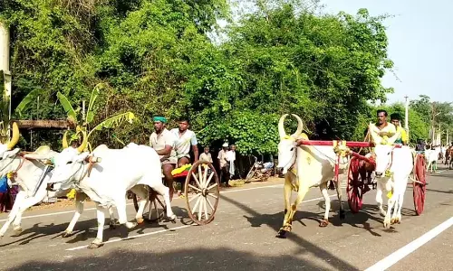 மாட்டு வண்டி பந்தயம்