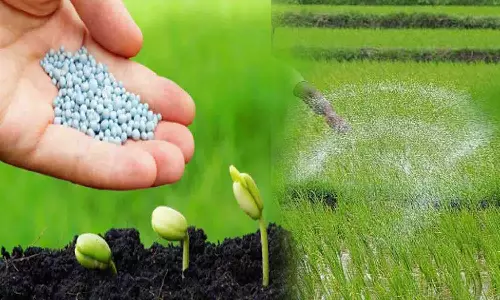 காட்பாடி வட்டார வேளாண் விரிவாக்க மையத்தில் மானிய விலையில் விதைகள், உரம்