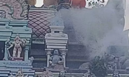 அவினாசி கோவில் கோபுர தேன் கூடு அழிப்பு