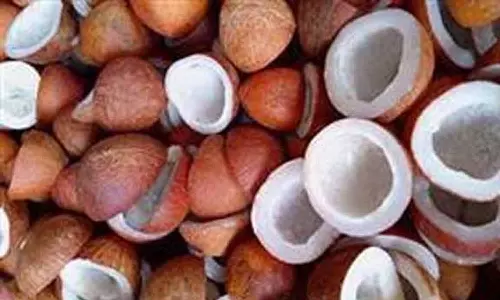 வெள்ளகோவிலில் ரூ.68  லட்சத்திற்கு தேங்காய் பருப்பு விற்பனை