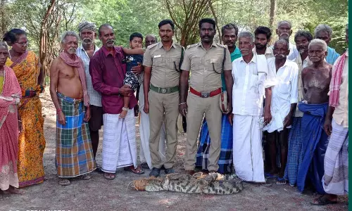 குளத்திற்குள் புகுந்த முதலையால் பொதுமக்கள் பீதி- வன ஊழியர்கள் பத்திரமாக மீட்டனர்