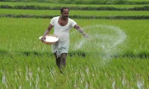 திண்டுக்கல்லில் 17,000 டன் உரம் இருப்பு