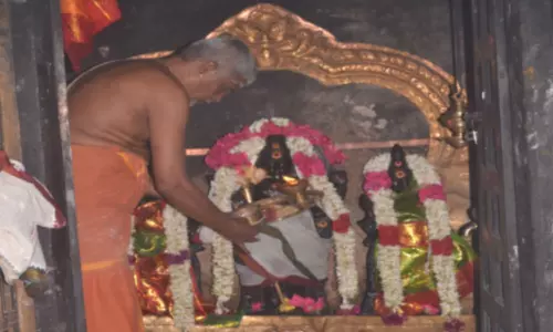 செங்கழுநீரம்மன் கோவிலுக்குள் இருக்கும் சன்னதிகள்