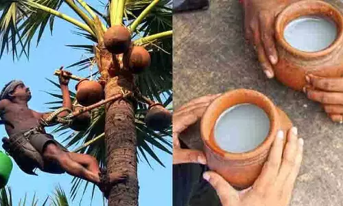 ஜனவரி 21-ந்தேதி முதல் கள் இறக்கி சந்தைப்படுத்தப்படும் - நல்லசாமி பேட்டி