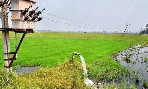 தட்கல் சிறப்பு திட்டத்தில் மின் இணைப்பு பெற விவசாயிகள் மின்வாரியத்தை அணுகலாம்