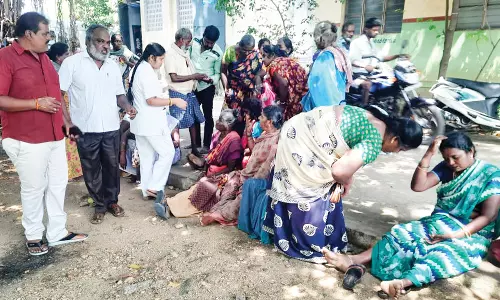 சாணார்பட்டி அருகே தேனீக்கள் கொட்டியதில் 42 பேர் காயம்