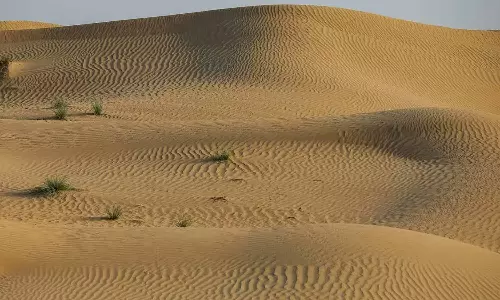 நூற்றாண்டு இறுதிக்குள் தார் பாலைவனம் பசுமையாக மாறலாம்: ஆராய்ச்சியில் தகவல்