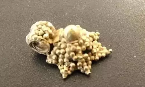 விஜயகரிசல்குளம் அகழாய்வில் தங்கத்தாலி கண்டெடுப்பு