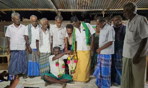 நிலம் கொடுத்தவர்களுக்கு இழப்பீடு வழங்கக்கோரி நாய்க்கு தாலி கட்டி  விவசாயிகள் நூதன போராட்டம்