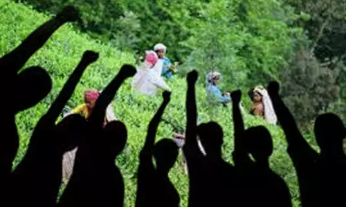 நீலகிரியின் 400 கிராமங்களில் தொடர் உண்ணாவிரதம்: செப்டம்பர் 1-ந்தேதி தொடங்கப்படும் என அறிவிப்பு