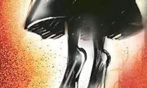 திருமணமான 45 நாளில் புதுப்பெண் தற்கொலை; கணவரிடம் ஆர்.டி.ஓ. விசாரணை