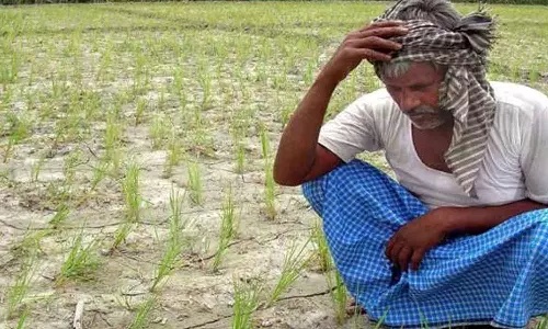 தென்மேற்கு மழை கைவிட்டதால் சாகுபடியை தொடங்குவதில் விவசாயிகள் தயக்கம்