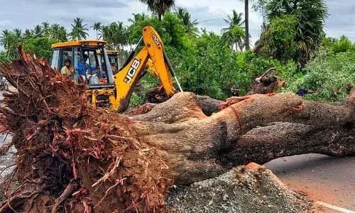 மதுராந்தகம் பகுதியில் 400 மரங்களை வெட்டி அகற்ற முடிவு