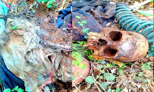 திருப்பூர் சுடுகாட்டில் சிதறிக்கிடந்த உடல்கள்- நாய்கள் கவ்வி சென்றதால் பரபரப்பு