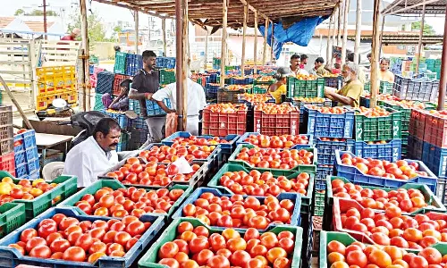 தக்காளி ஒரு கிலோ ரூ.40க்கு விற்பனை - பொதுமக்கள் மகிழ்ச்சி