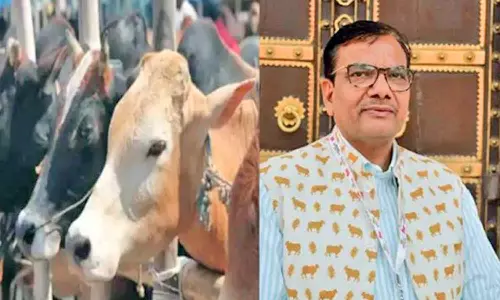 மாட்டு சாணத்தில் காகிதம் தயாரித்த இந்தியர்- அமெரிக்காவுக்கு ஏற்றுமதி செய்து அசத்தல்