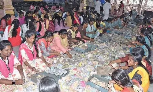 சுவாமிமலை கோவிலில் உண்டியல் காணிக்கை எண்ணும் பணி