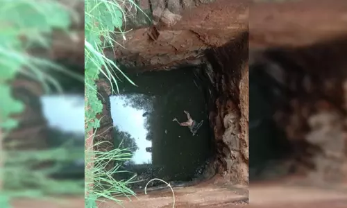 கொங்கணாபுரம் அருகே ஆடு மேய்க்க சென்ற விவசாயி கிணற்றில் பிணமாக மீட்பு