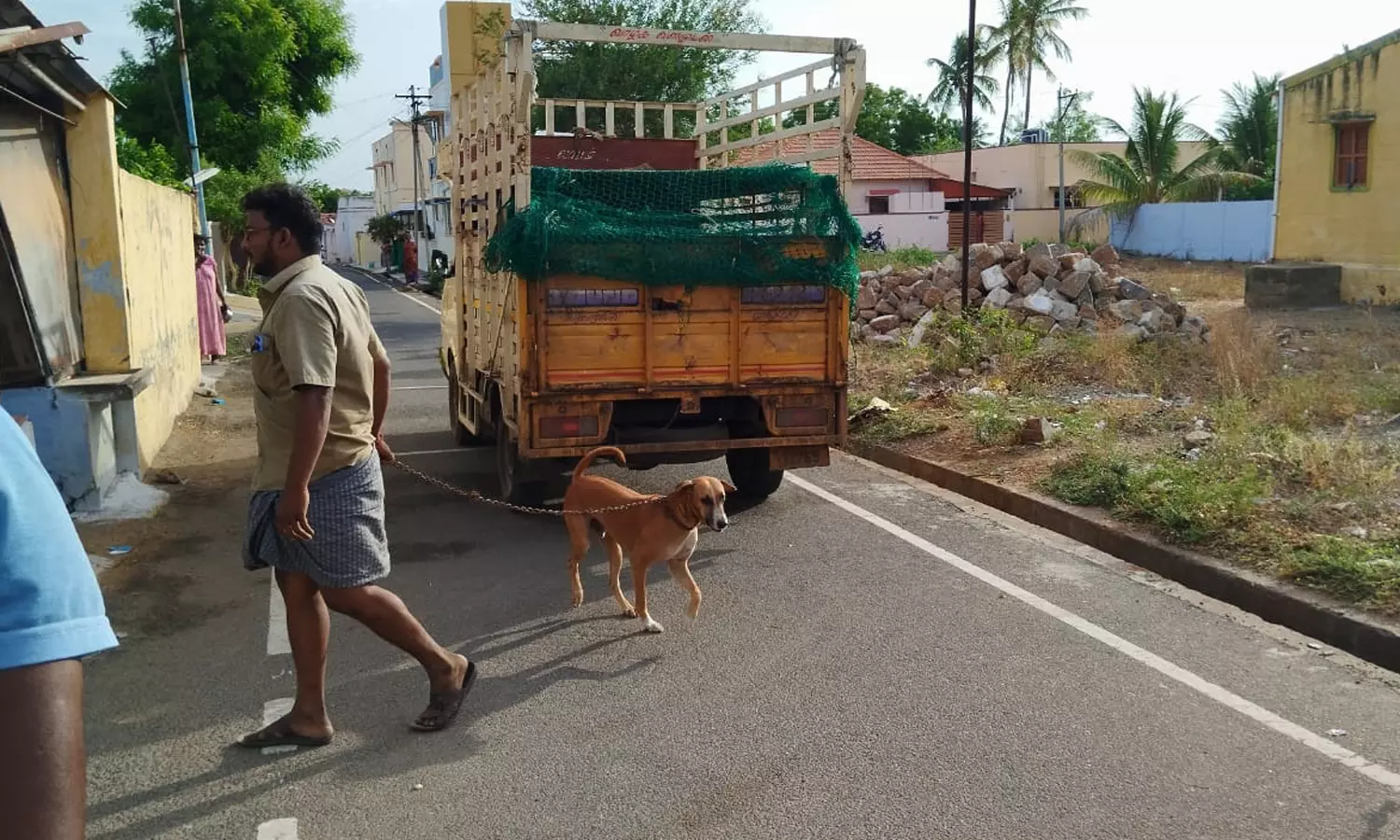 தெருக்களில் சுற்றித்திரிந்த நாய்களை பிடிக்கும் பணிகள் தொடங்கியது தெருக்களில் சுற்றித்திரிந்த நாய்களை பிடிக்கும் பணிகள் தொடங்கியது