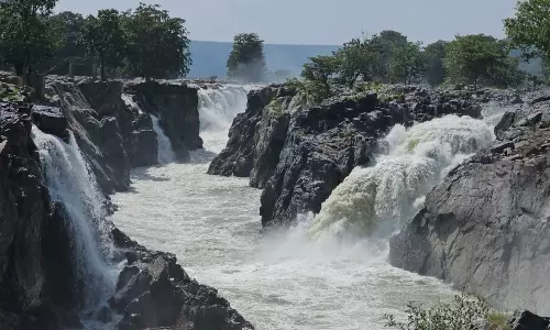 கர்நாடக அணைகளில் இருந்து நீர்திறப்பு குறைப்பு: ஒகேனக்கல்லுக்கு நீர்வரத்து 5 ஆயிரம் கன அடியாக சரிவு