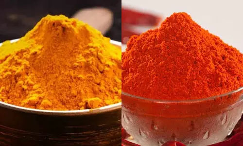 மசாலா பொடியில் விஷம் கலந்து மனைவியை குடும்பத்துடன் கொலை செய்ய முயற்சி- என்ஜினீயரின் சதியால் உயிரிழந்த  மாமியார்