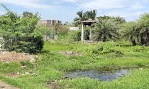 சாலையோரம் தகனம் செய்ய முயன்ற பொதுமக்கள்