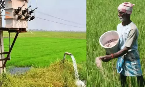 வேலூர் மின் பகிர்மான வட்டத்தில் தட்கல் முறையில் மின் இணைப்பு