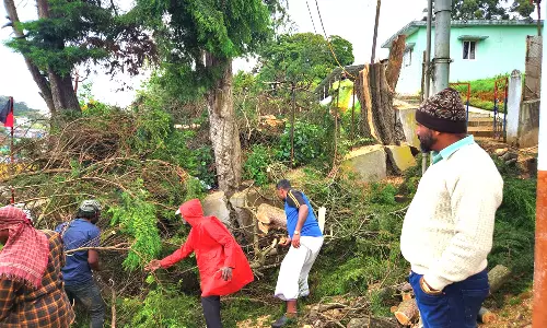 ஊட்டி 10வது வார்டில் முட்புதர்கள் அகற்றம்