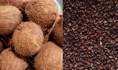 ரூ11.65 லட்சத்துக்கு தேங்காய், எள் ஏலம்