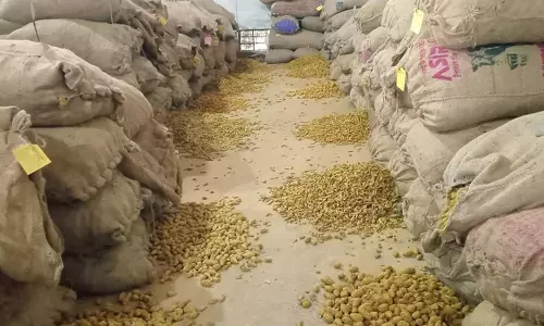 அரூர் கூட்டுறவு சங்கத்தில் மஞ்சள் ரூ.52 லட்சத்திற்கு ஏலம் போனது