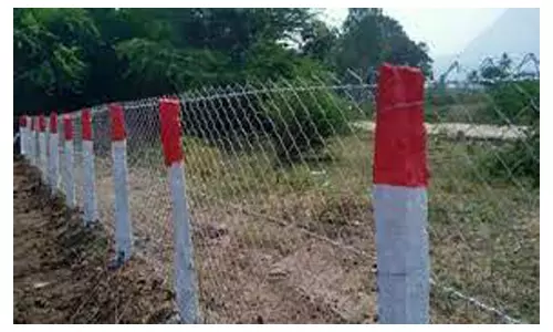 மின்சாரம் தாக்கி யானை உயிரிழப்பதை தடுக்க மின் கம்பங்களுக்கு இரும்பு வேலி அமைப்பு