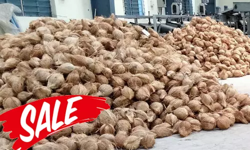 முத்தூரில் ரூ.2.92 லட்சத்திற்கு கொப்பரை, தேங்காய் விற்பனை