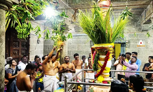 ஆலங்குளம் அருகே வைத்தியலிங்கசுவாமி கோவிலில் ஆவணி திருவிழா கொடியேற்றம்