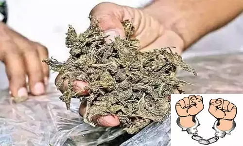 கஞ்சா விற்ற 2 வாலிபர்கள் கைதுகஞ்சா விற்ற 2 வாலிபர்கள் கைது