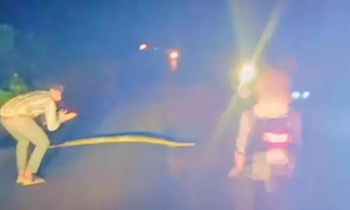 சாலையை கடக்க போக்குவரத்தை நிறுத்தி மலைப்பாம்புக்கு உதவிய வாலிபர்