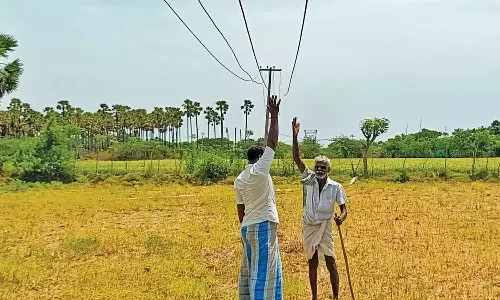 வயல்களில் தாழ்வாக செல்லும் மின்கம்பிகள் சீரமைக்கப்படுமா?