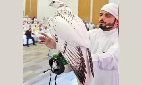 ரூ.2¼ கோடிக்கு ஏலம் போன அபூர்வ பருந்து