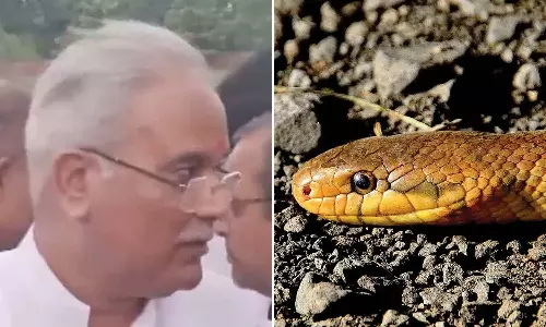 சத்தீஷ்கர் முதல் மந்திரி பூபேஷ்பாகல் நிருபர்கள் கூட்டத்தில் பாம்பு புகுந்ததால் பரபரப்பு