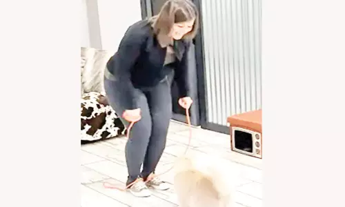 ஜம்ப்-ரோப்பிங் மூலம் கின்னஸ் சாதனை படைத்த பூனை