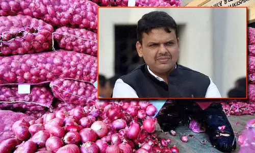 உற்பத்தியாளர்களிடம் 2 லட்சம் மெட்ரிக் டன் வெங்காயத்தை கொள்முதல் செய்யும் மத்திய அரசு