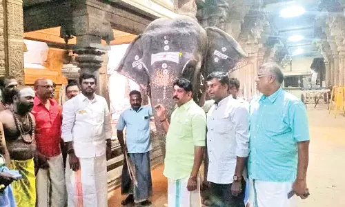 முதல் கட்ட நடைபயணம் இன்றுடன் முடிவடைகிறது: நெல்லையப்பர் கோவிலில் அண்ணாமலை சுவாமி தரிசனம்