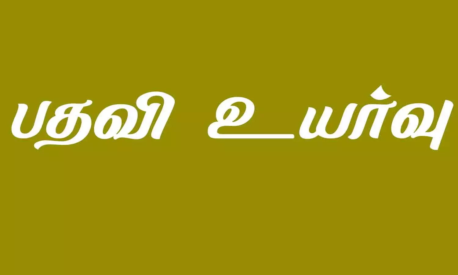 விழுப்புரம் மாவட்டத்தில் 20 துணை தாசில்தார்கள் தாசில்தாராக பதவி உயர்வு