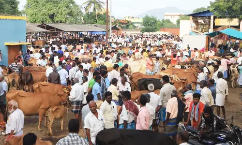 பொய்கை சந்தையில் ரூ.1 கோடிக்கு மாடுகள் விற்பனை